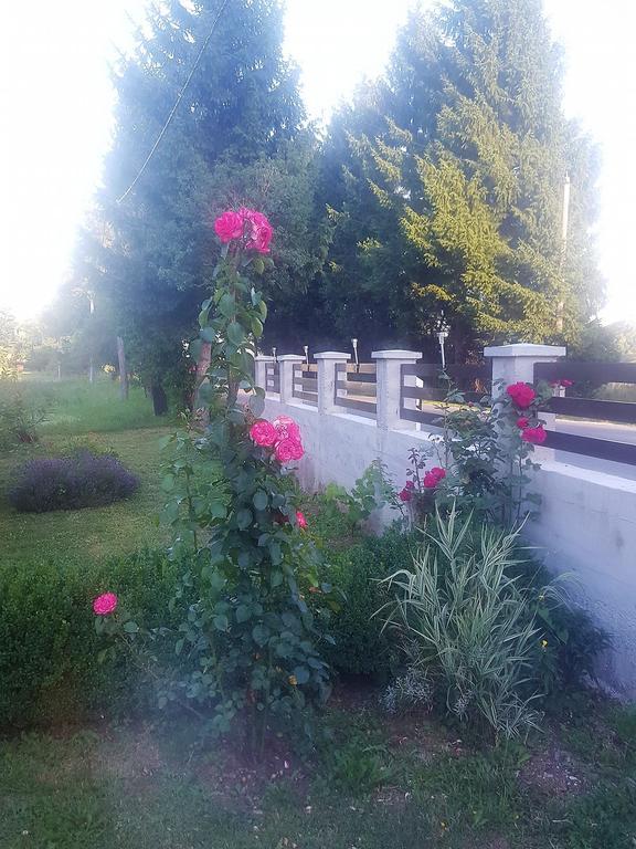 Guesthouse Samolov Vrhovine Zewnętrze zdjęcie