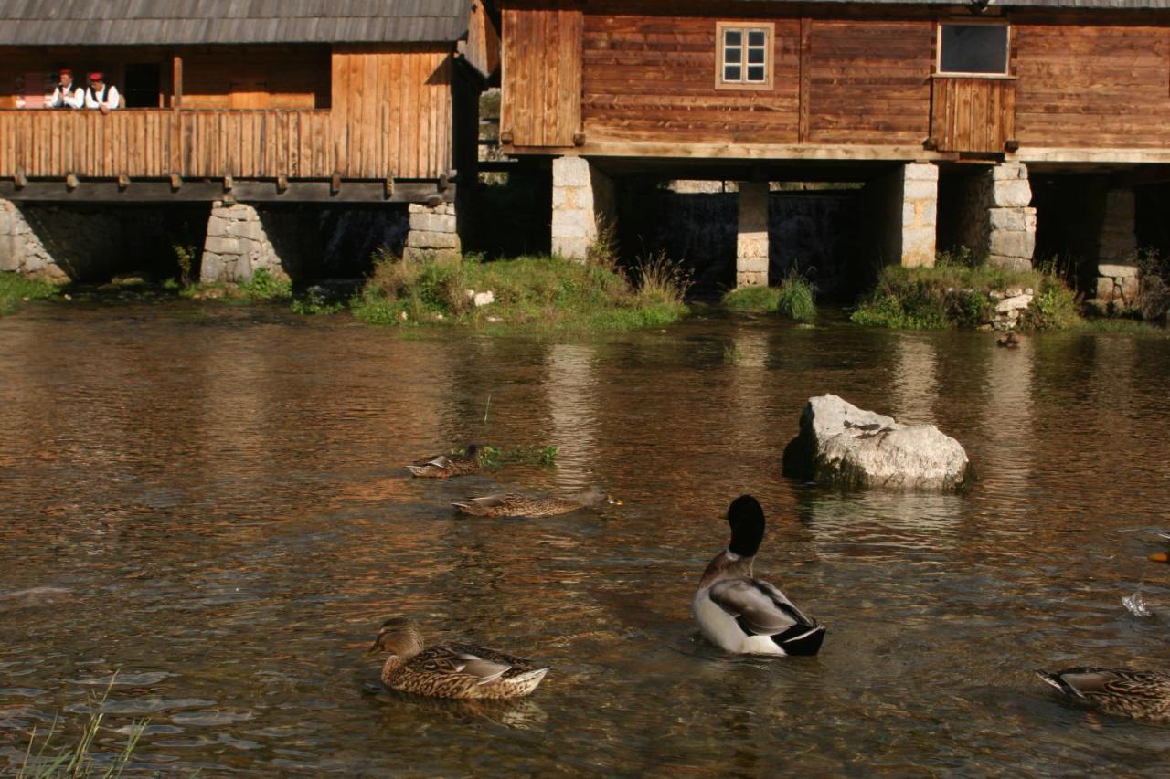 Guesthouse Samolov Vrhovine Zewnętrze zdjęcie